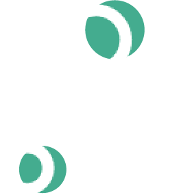 True-Insight: Actionable Analysis